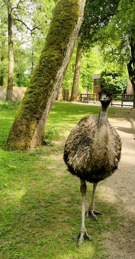 Straubing Zoo - Thumbnail