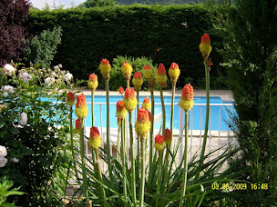 Photo n°29 de La Maison Rose à Saillans (Maison d'hôtes)