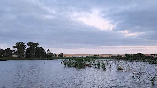Swanport little jetty - Thumbnail