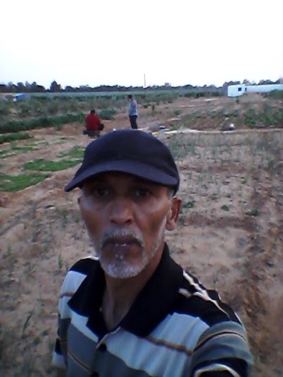 Photos of جردينة المقاوبه