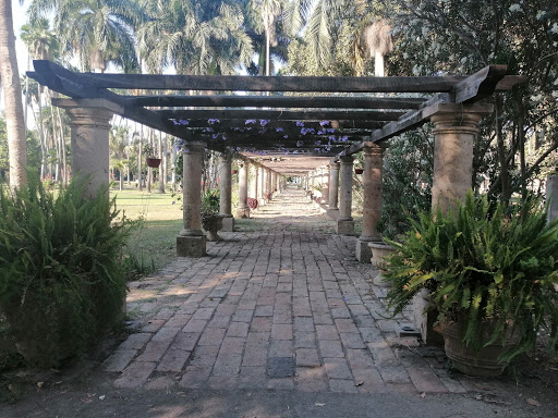 Sinaloa Park - Visual