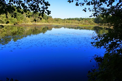 Black Farm Trailhead Parking