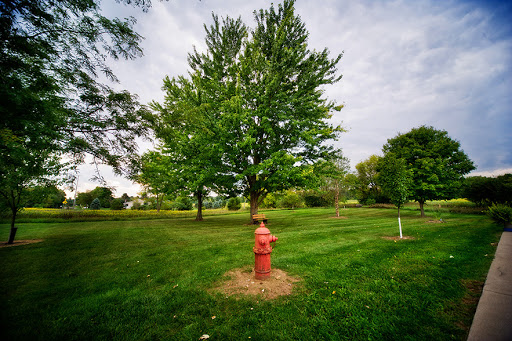 Pennfield Animal Hospital Gallery - United States