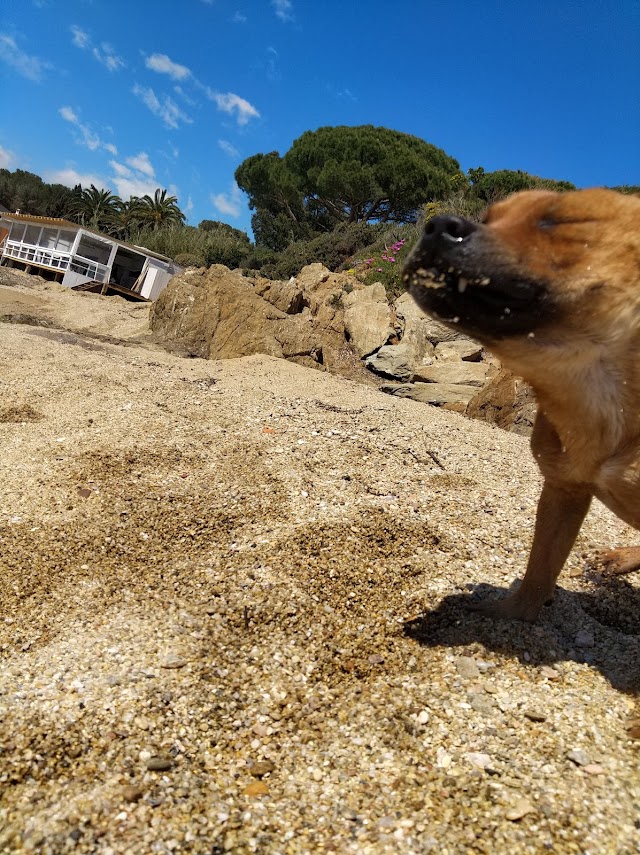 La Cabane Méditerranée