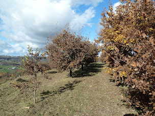 Photo n°14 de Gîte La Fourche à Javelles à Yssandon (Gîte)