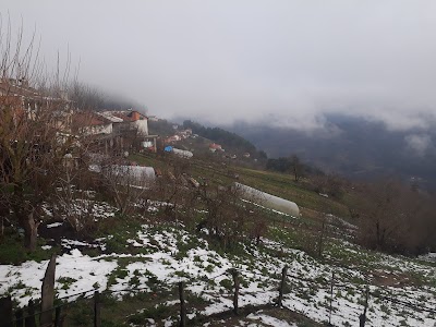 dibektas koyu camii