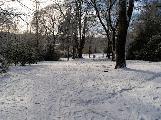 Jünglingshöhe Knoops Park Gallery - Germany