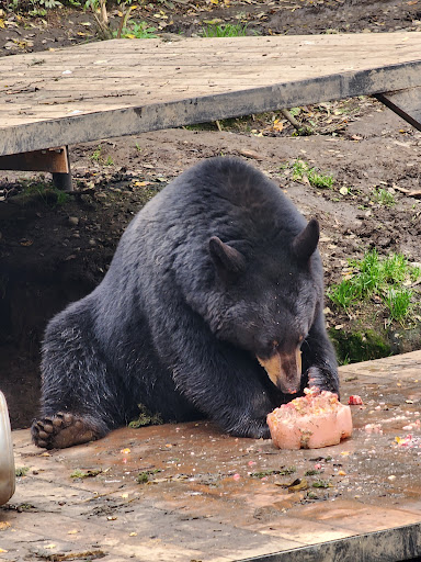 Zoo Facilities - Visual
