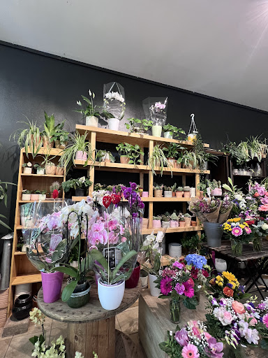 Sonnenblumenwerkstatt - Visual
