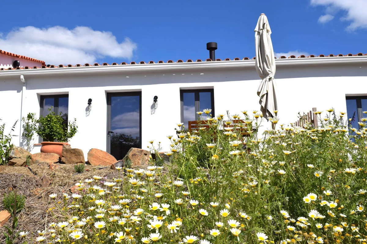 Finca Bravo