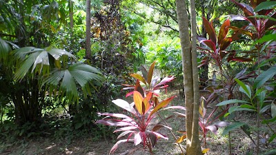 Photos of EcoLodge La Bonita