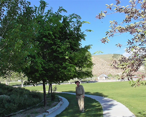 Skyview Landscape Nursery