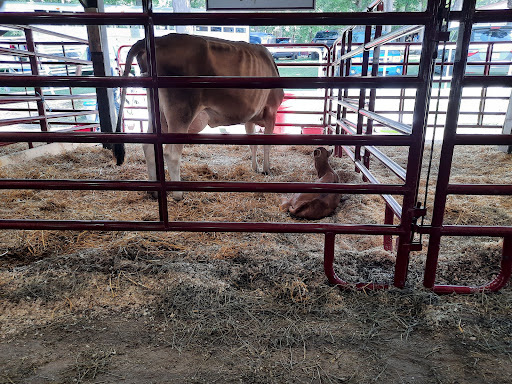 Lake County Fairground - Thumbnail