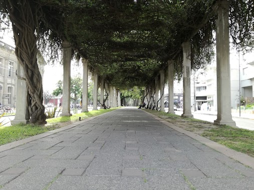 Paseo BV., Author: Gonzalo F. Tapiero Gallo