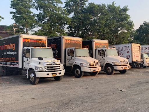 Maxi Moving - Visual