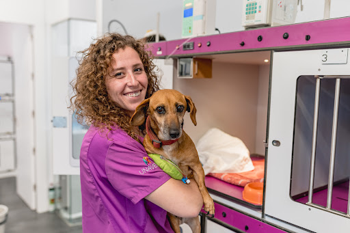 Hospital Veterinario Ciutat d´Inca