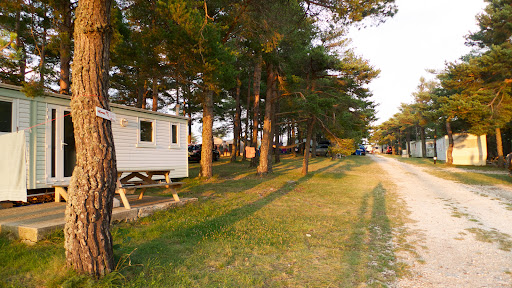 Camping Les Sirènes - Thumbnail