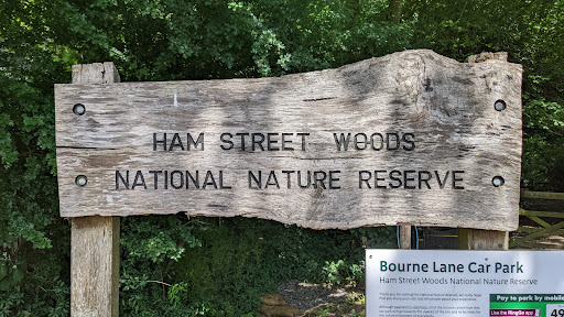 Hamstreet Woods Car Park