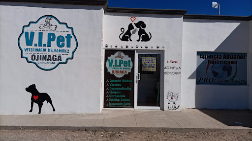 V.I.PET veterinaria 24hrs
