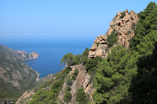 Corsica Dreams - Thumbnail