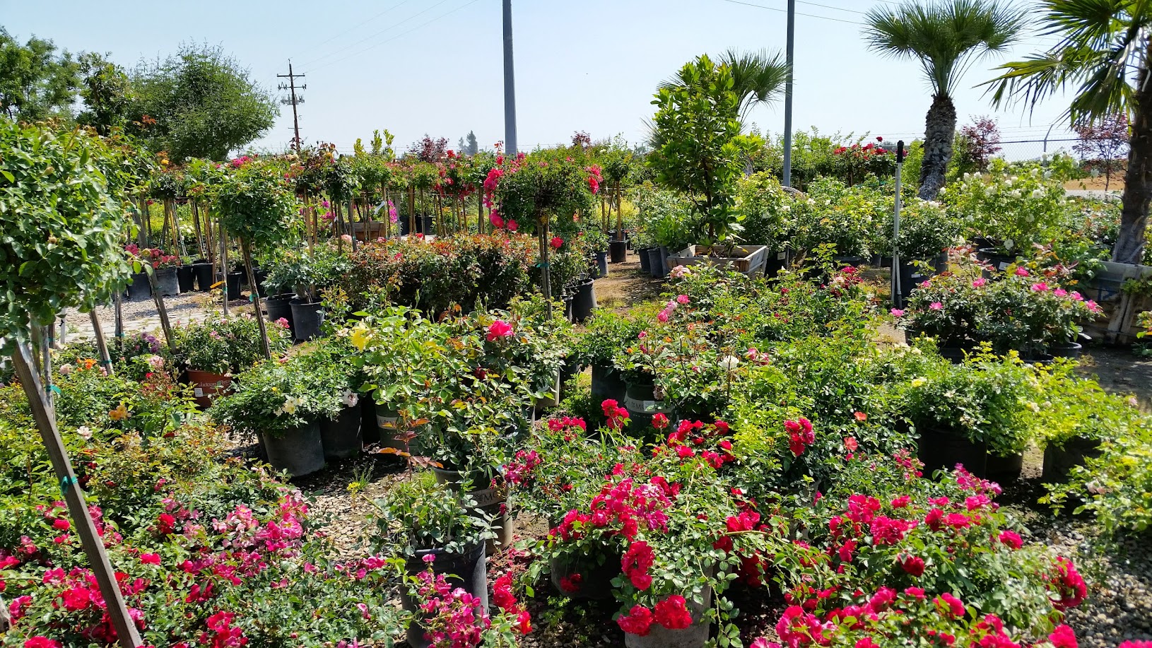 Green Hills Nursery