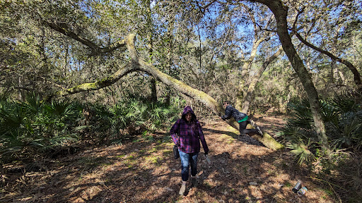 Bluffton Interpretative Trail - Visual