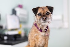 St George’s Vets Wolverhampton Hospital wolverhampton