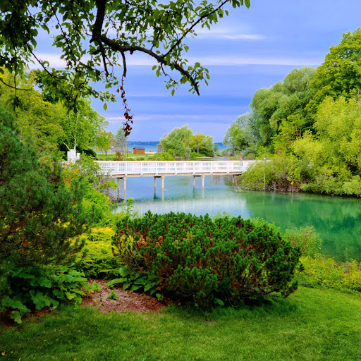 Library Bridge - Visual