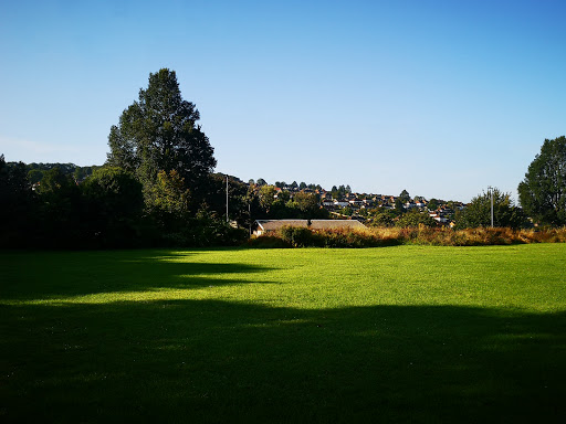 Hollingbury Library