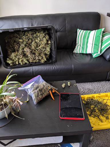 Burns CBD - Thumbnail
