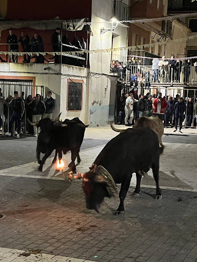 Fuente De La Plaza