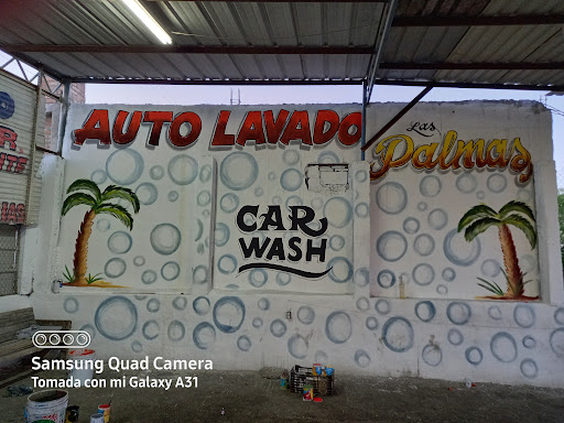 Auto lavado las palmas