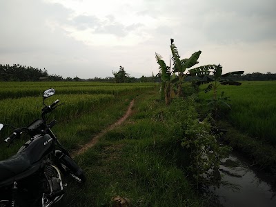 Photos of Kantor Camat Widodaren