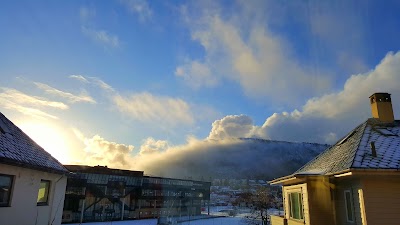 Photos of Brann Stadion