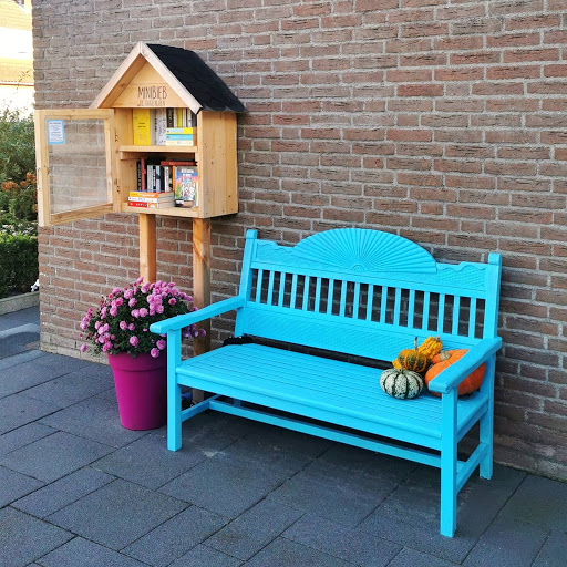 MiniBieb De Gagelrijzen