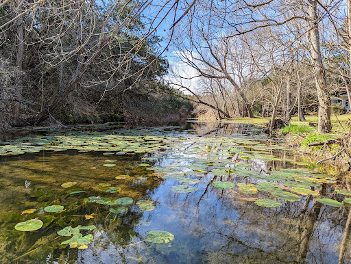 Hamilton Greenbelt - Thumbnail