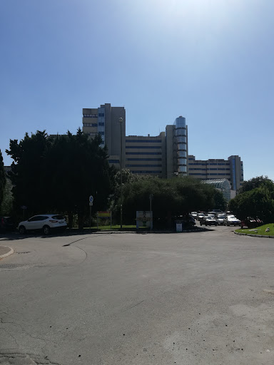 Jenner (Ingresso Ospedale Brotzu) - Thumbnail