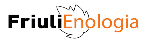 Friuli Enologia S.r.l. - Thumbnail