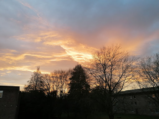Ancaster Hall - Visual