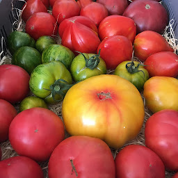 Photo n°27 de La Ferme de Cano à Séné (Ferme)