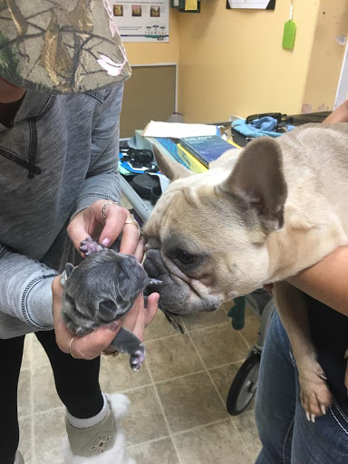 Morningview Vet Clinic - Thumbnail