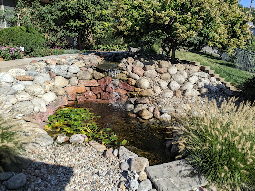 Ruff Waters, Inc. - Thumbnail