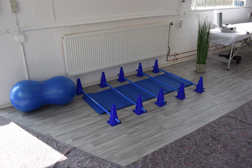Hundephysiotherapie Scheriau