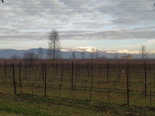 Oderzo - Zona Industriale - Visual