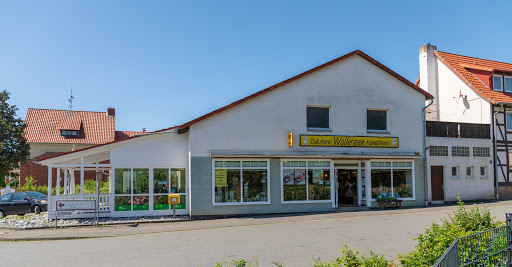 Frischemarkt Wollersen - Visual