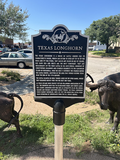 Comanche County Clerk’s Office - Thumbnail