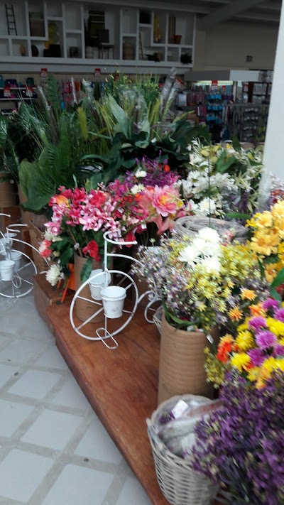 Photos of Administrative Offices Aliss