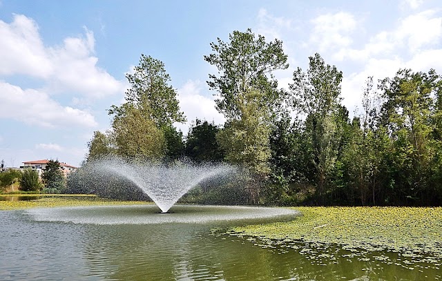 Les Jardins Du Muséum
