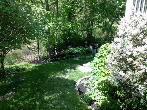 Shull Park - Visual