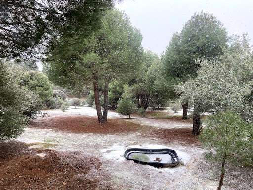 Bola Park - Thumbnail